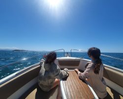 Activité sortie bateau anglet - sea evasion