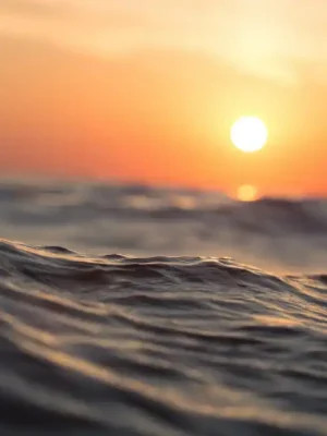 Sortie couché de soleil bateau - sea evasion